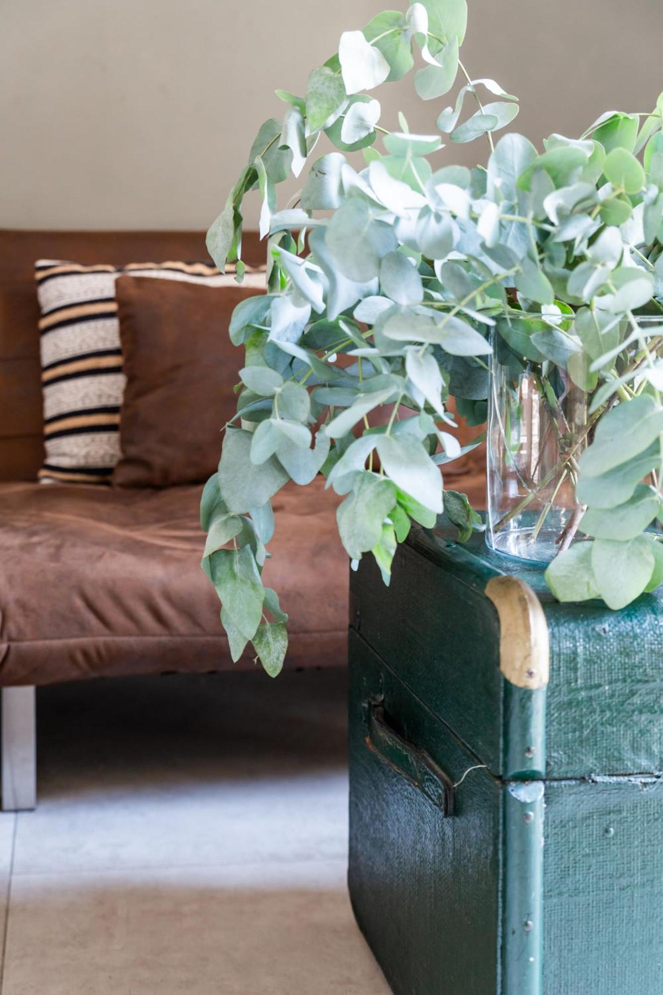 Casa Dei Mille Napoli Apartment ภายนอก รูปภาพ